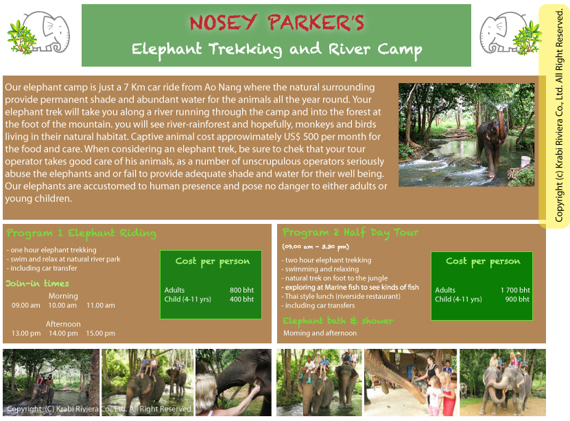 Elephant trekking in Krabi